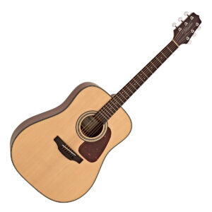 Takamine GD-10-NS