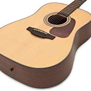 Takamine GD-10-NS