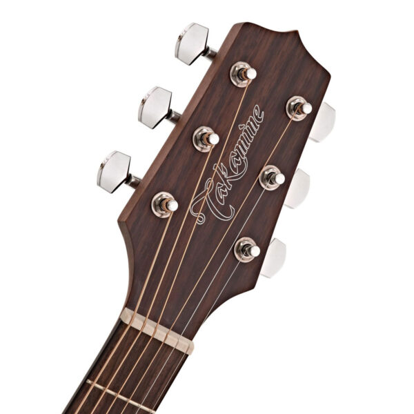 Takamine GD-10-NS